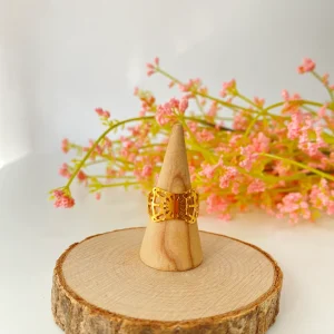 Anillo Vega