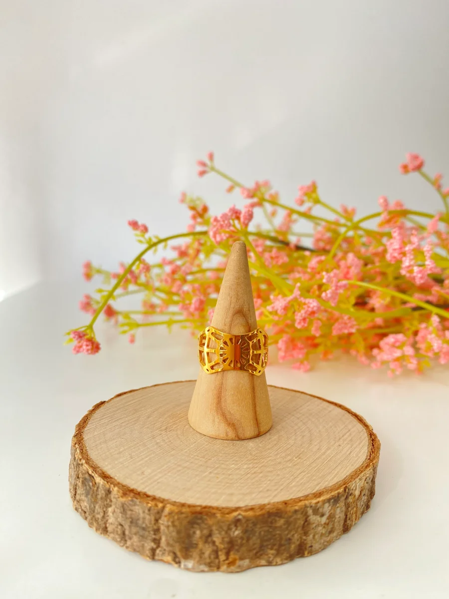 Anillo Vega - Imagen 2