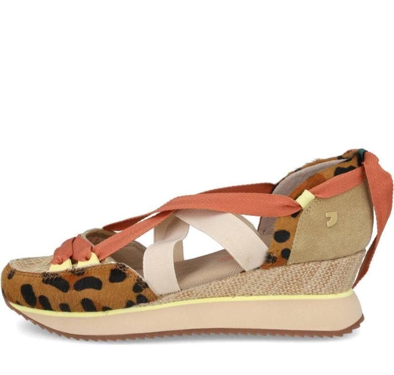 Sandalia Deportiva Desinic Gioseppo - Imagen 2