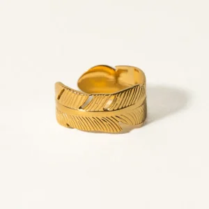 Anillo PLUMM